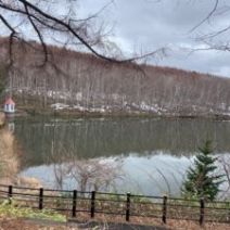 「西岡公園自然情報 2026年4月5日」の写真