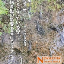 「春の小さな花」の写真