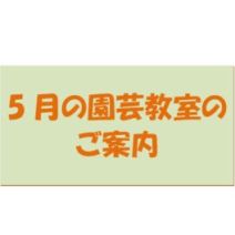 「西岡公園自然情報 2026年4月29日」の写真