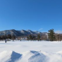 「ハイタカとスノーキャンドル」の写真