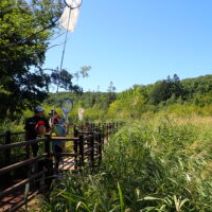 「西岡公園自然調査報告展 札幌市円山動物園サル山展望レストハウスで開催中」の写真