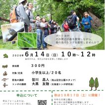 「イベント情報6月14日「月寒公園自然観察会~野鳥ときどきトンボ編」参加者募集」の写真