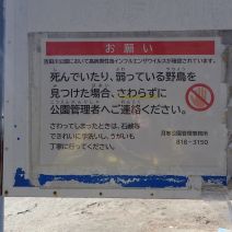 「野鳥に関するお知らせ」の写真