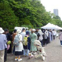 「大通公園バラフェスタ終了」の写真