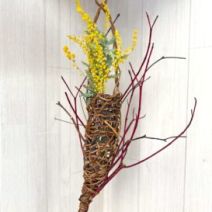 「2月11日から開始、講習会参加者募集のお知らせ(2026年2月7日)」の写真