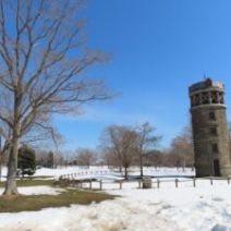 「春の息吹を感じる百合が原公園(2026年3月25日)」の写真