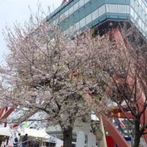 「西3丁目とうきびワゴン、カフェテラス営業開始」の写真