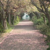 「5月21日 園内の様子」の写真