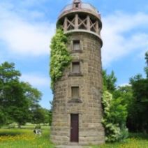 「季節の花々とおすすめのフォトスポット(2026年7月1日)」の写真