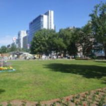 「大通花壇コンクール「オンライン市民投票」のお知らせ」の写真