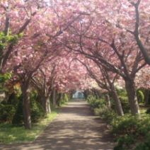 「5月15日 園内の様子」の写真