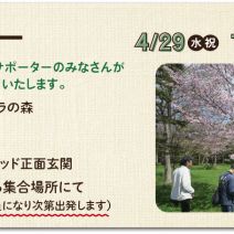 「令和8年度 まちづくり体験実習 参加者募集」の写真
