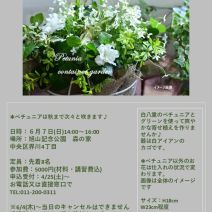 「【6月7日開催】園芸講習会「ペチュニア白グリ-ン寄せ植え講座」受付中」の写真