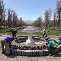「4月21日 サクラの開花状況【開花】」の写真