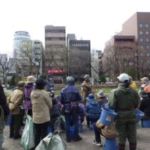 「本日のボランティア活動(バラ)」の写真