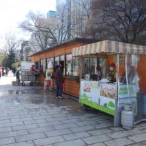 「【2026年さっぽろまちづくりガーデニング講座】第2回目 種から育てる苗づくり1(種まき)」の写真