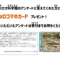 「北海道生物多様性カード【オショロコマ】配布」の写真
