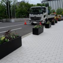 「札幌市役所本庁舎前のフラワーコンテナに花苗を植えました」の写真