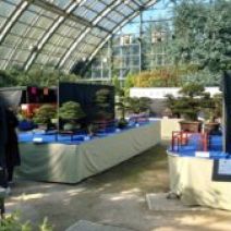 「さつき盆栽秋季展、明日から開催(2026年9月19日)」の写真