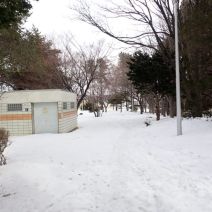 「園内の状況」の写真