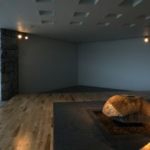 「サクラ開花状況 ソメイヨシノ満開」の写真