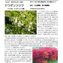 「緑のセンターだより6月号を発行します」の写真