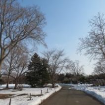 「「歩くスキーコース」開放終了のお知らせ(2026年3月14日)」の写真