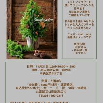 「本日のボランティア活動(バラ)」の写真