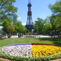 「本日のボランティア活動(シーズネット)」の写真