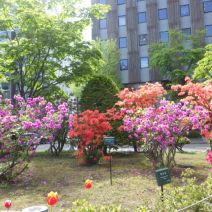 「ガイドボランティア園内研修」の写真
