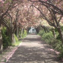 「5月18日 園内の様子」の写真