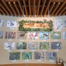 「旭山記念公園フォトコンテスト投票受付中 レストハウス「ぽるく」」の写真