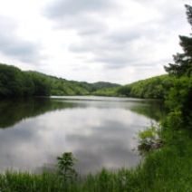 「西岡公園自然情報 2026年6月4日」の写真