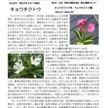 「緑のセンターだより2月号を発行します」の写真