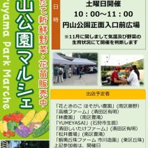 「『円山公園マルシェ』中止のお知らせ」の写真