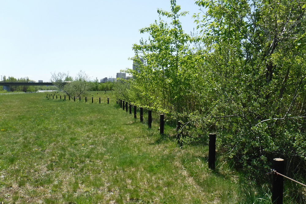 自然保護区の写真